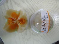 Imgp1606